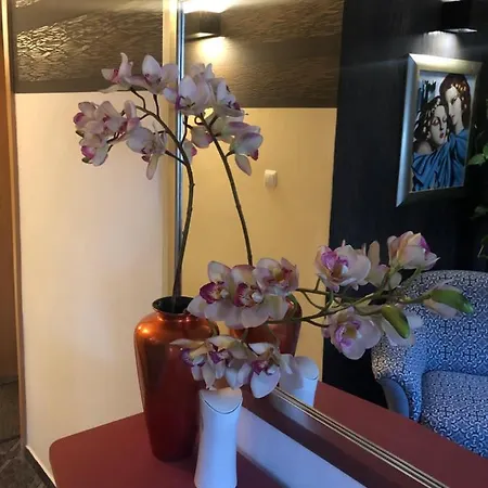 Accommodatie bij particulieren Viking